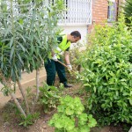 Un treballador contractat en el pla d'ocupació fent treballs de jardineria // Ajuntament de Sant Boi