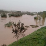 El Llobregat, crescut al seu pas per Sant Boi // Ajuntament de Sant Boi