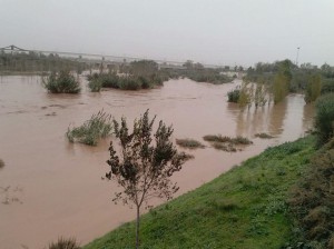 El Llobregat, crescut al seu pas per Sant Boi // Ajuntament de Sant Boi