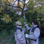 Els voluntaris forestals van estar a la Font de Gualbes a la seva primera acció // Ajuntament de Sant Boi