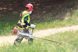 Pla ocupació Sant Boi 2016 // Ajuntament de Sant Boi