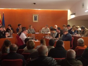 Ple municipal del mes de gener de 2016 // Marc Pidelaserra