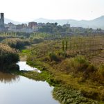 El riu Llobregat al seu pas per Sant Boi // Parc del Riu Llobregat