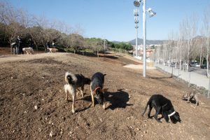 L'àrea d'esbarjo per gossos del parc de la muntanyeta // Àrea Metropolitana de Barcelona