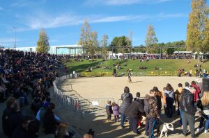 La desfilada de gossos en adopció reuneix a molt de públic // Marc Pidelaserra