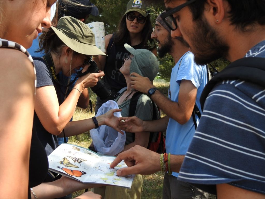 El Parc Agrari, nou punt d'estudi metropolità de les papallones
