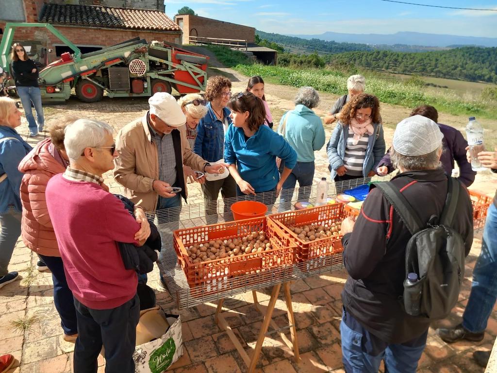 Imatge d'una visita a la productora de nous ecològiques Nous Soler