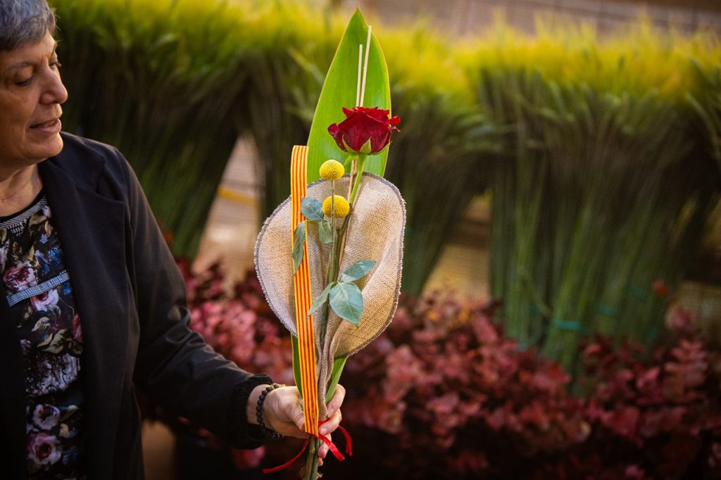 Una rosa a Mercabarna-flor de Sant Boi de Llobregat