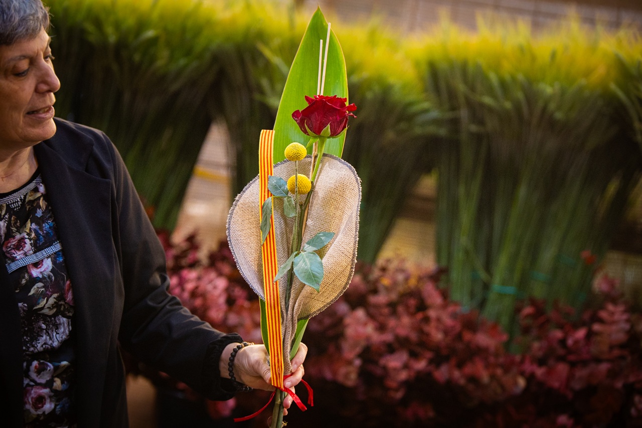Una rosa a Mercabarna-flor